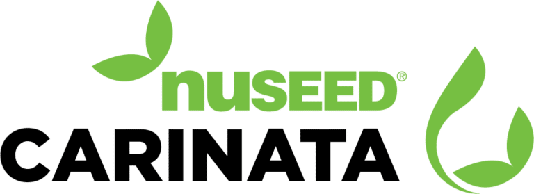 Nuseed Carinata 1 Nuseed Carinata 4C