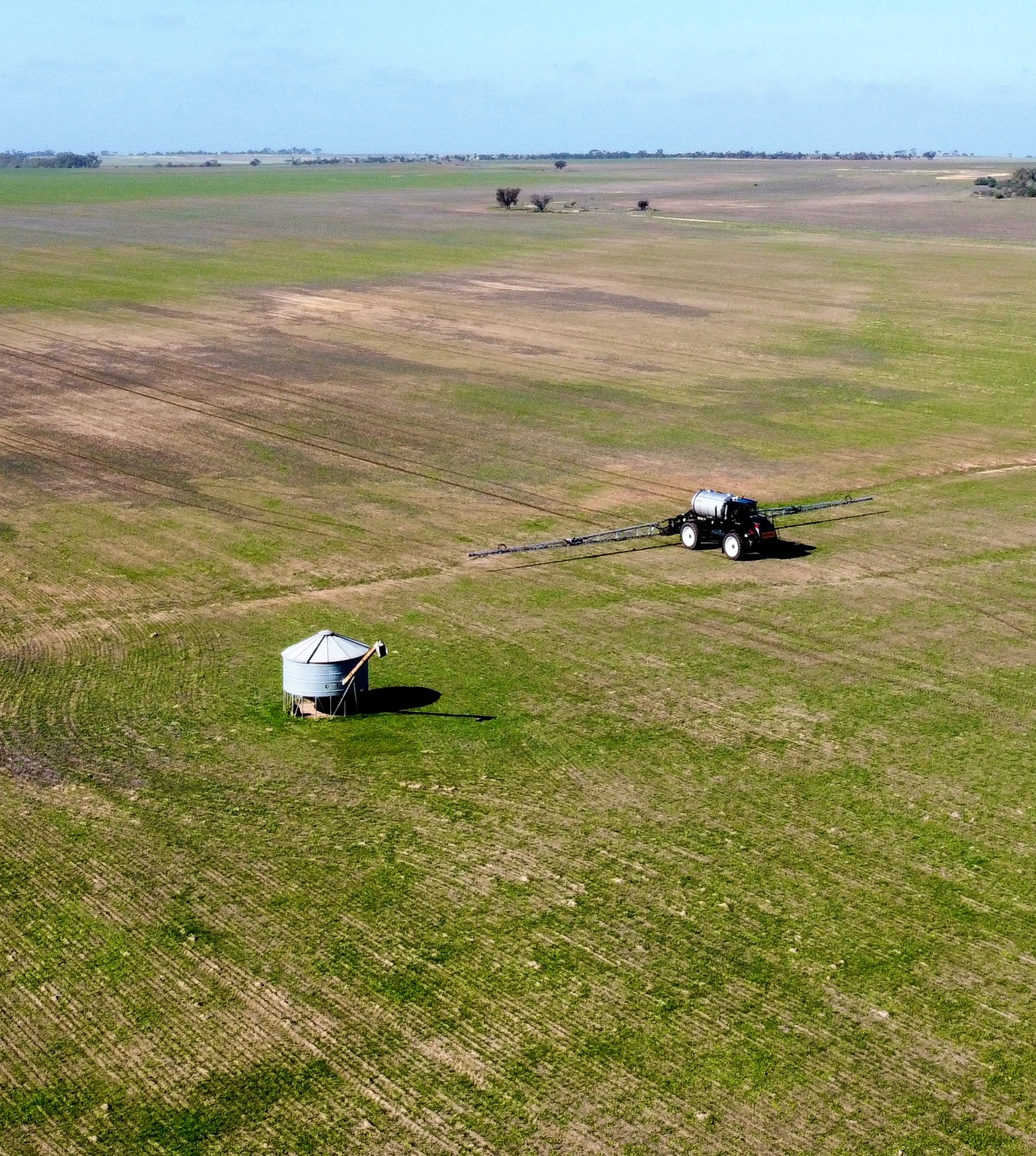 image 20250709 035030 3d53391f