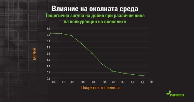 Ако плевелите не бъдат контролирани, те могат бързо да унищожат реколтата.