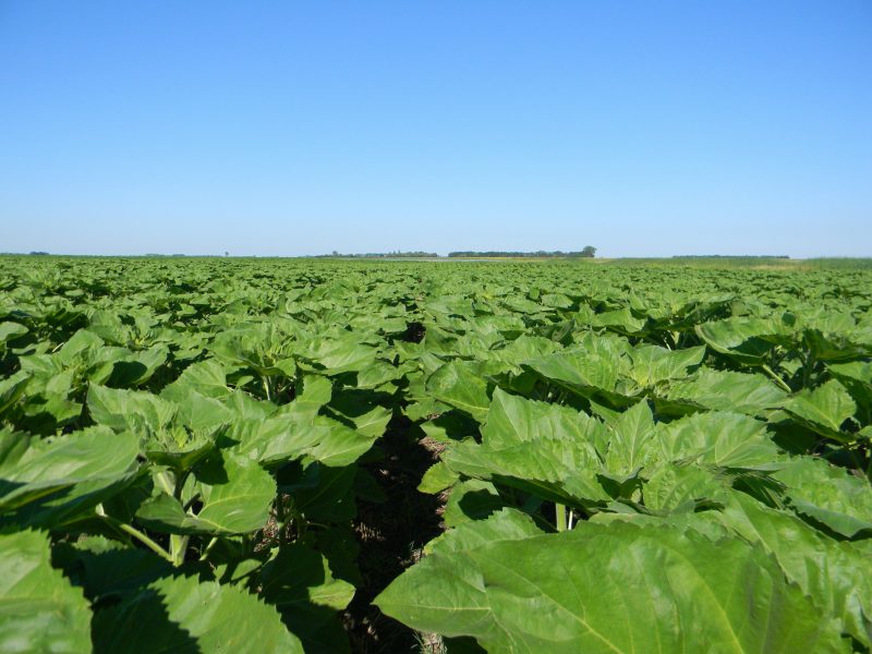 Uniform Plant Stand2 scaled