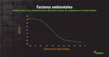 Si no se controlan, las malas hierbas pueden arruinar rápidamente el rendimiento de un cultivo