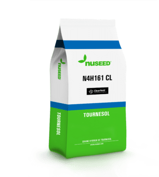 N4H161 CL Tournesol