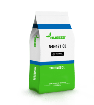 N4H471 CL Tournesol
