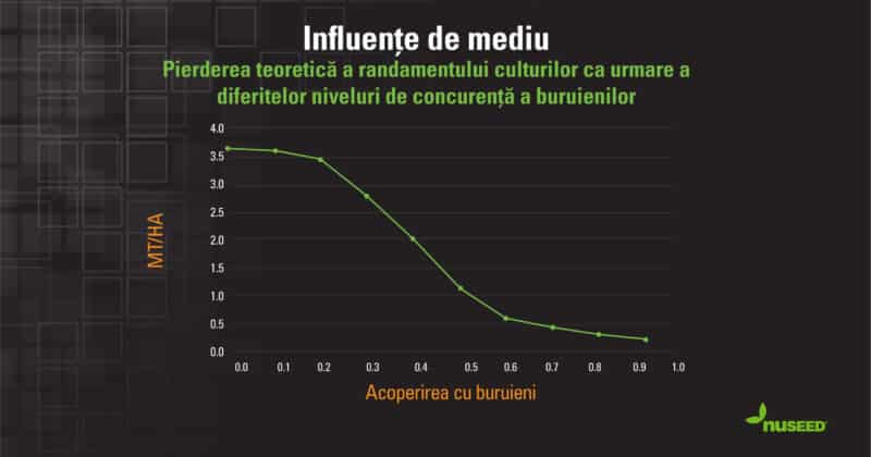 Dacă buruienile nu sunt controlate, ele pot distruge rapid recoltele.