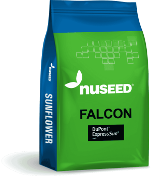 USA SUNFLOWER FALCON 945x1024 1