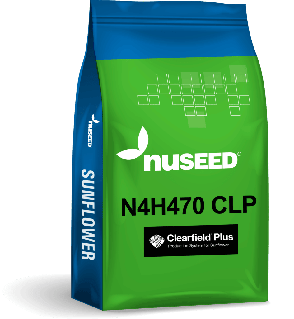 USA SUNFLOWER N4H470 CLP 945x1024 1