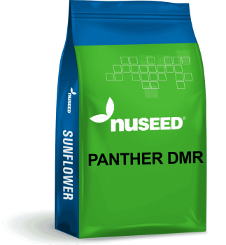 USA SUNFLOWER PANTHER DMR no label 945x1024 1