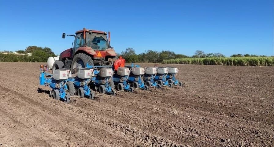 USA_Harvesting_Carinata