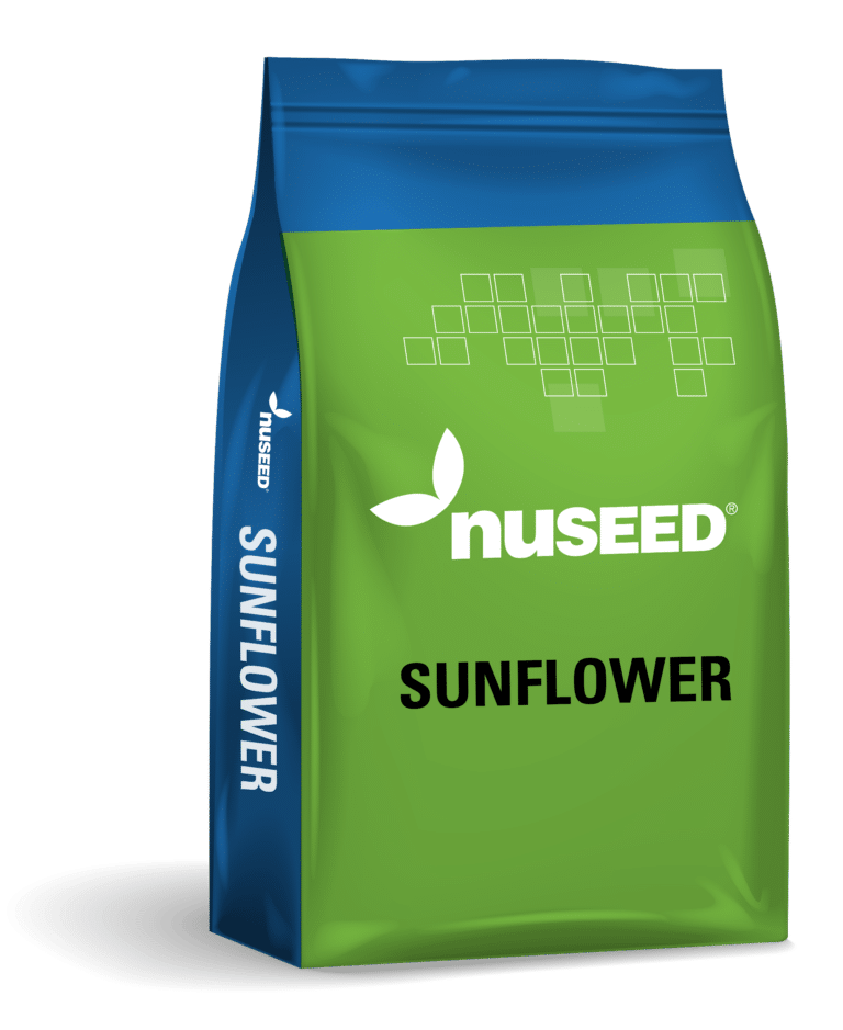 Nuseed BagRender SunflowerGeneric 073024