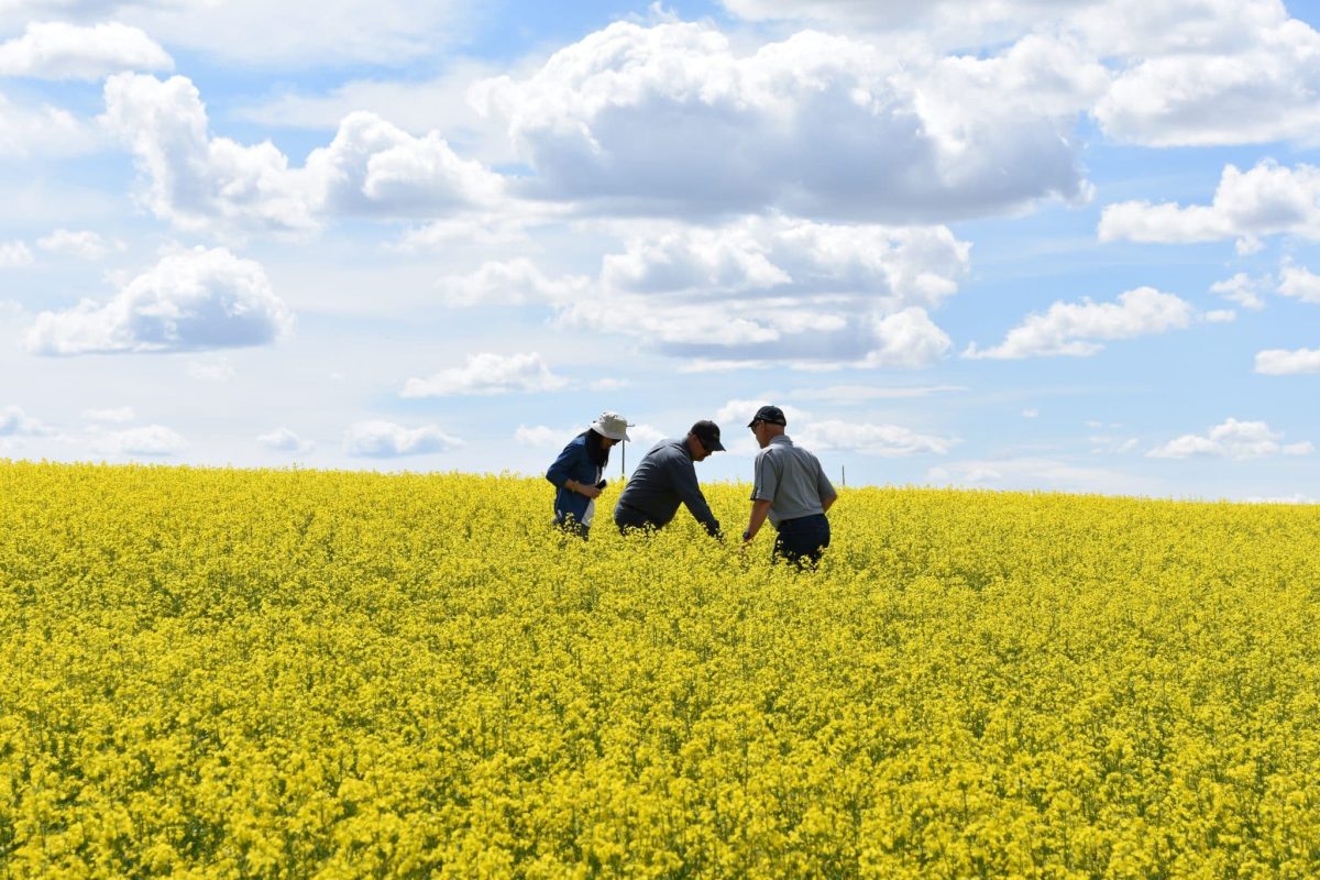 USA CANOLA Brian Mike in omega 3 field scaled e1747170109871