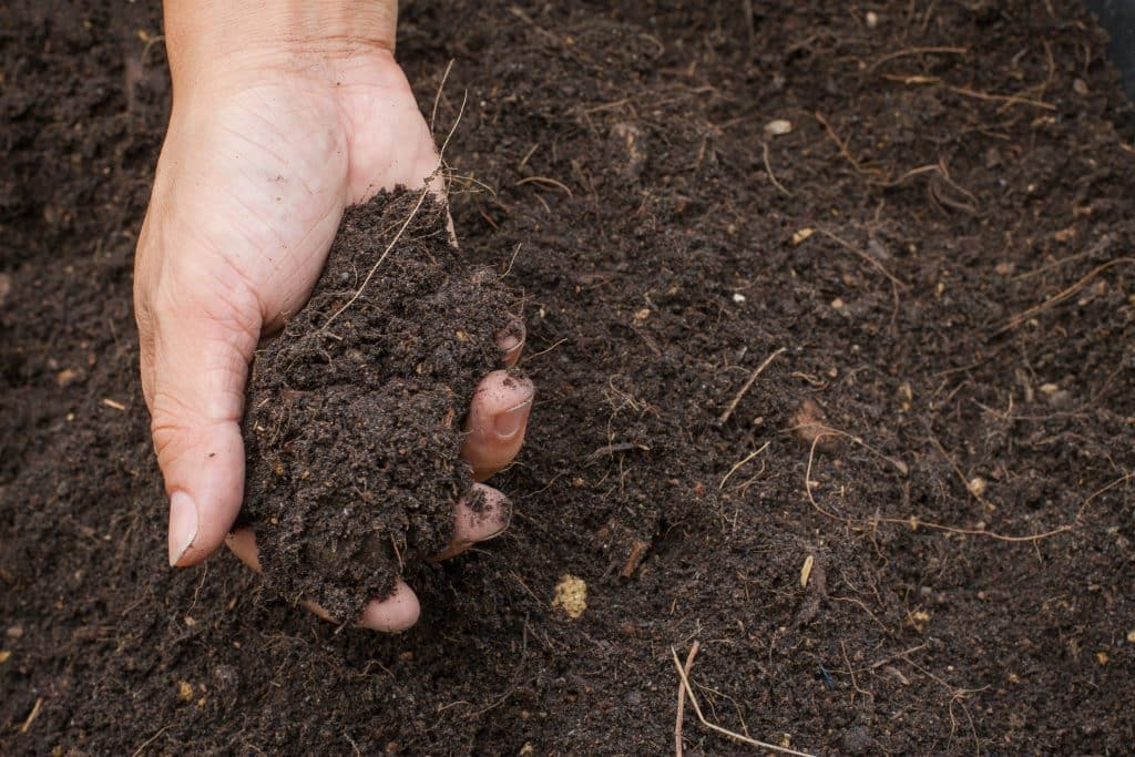 Hand,Holding,Soil,hand,Dirty,With,Soil